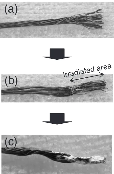 Fig. 12Cross sectional view of a part of a copper strand after applying theplating process as a batch process.