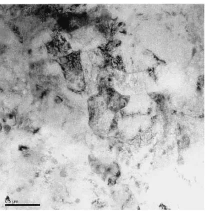 Fig. 7Microstructures of the ECAE processed Mg-Li-Zn alloys