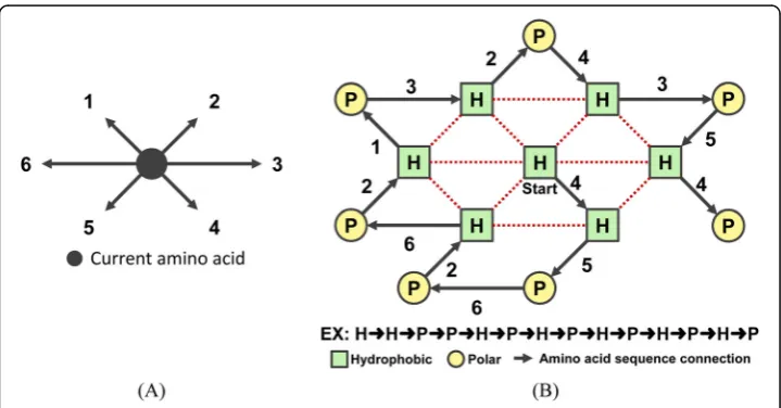 Fig. 2 Example of a 2D-HP-model. a 2D triangular lattice model with six neighbors. b Illustration of bestsolution in 2D-HP-model