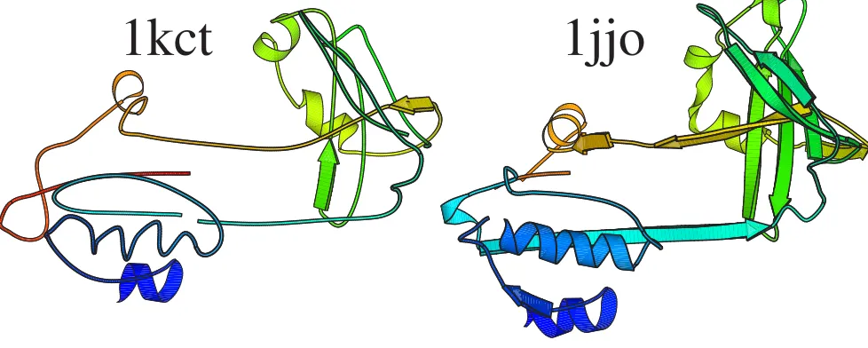 Figure 5Structural alignment of 1kct and 1jjoStructural alignment of 1kct and 1jjo. Aligned residues as calculated by the classification probability vector method are shown