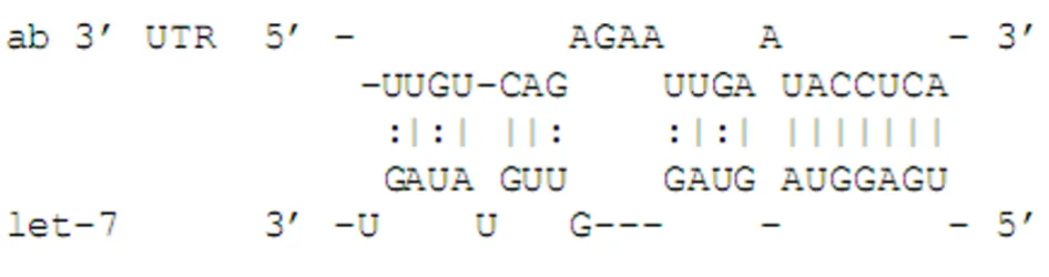 Figure 1Fig. 1]Alignment of the Drosophila melanogaster let-7 miRNA to a cognate target site in the 3' UTR of the ab gene adapted from [21, Alignment of the Drosophila melanogaster let-7 miRNA to a cognate target site in the 3' UTR of the ab gene adapted f