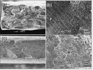 Fig. 4SEM micrographs showing fracture surface under the environment ‹ (DNG). (a), (b): alloy No