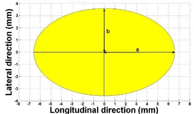 Fig. 9 Wheel-rail contact patch at central position 