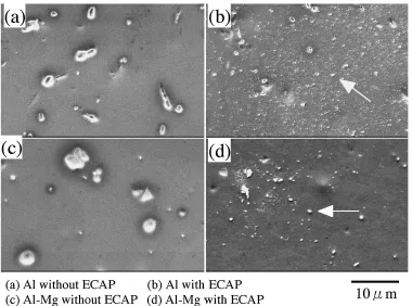 Fig. 8Eﬀect of ECAP on the morphology of Al and Al-Mg alloy.