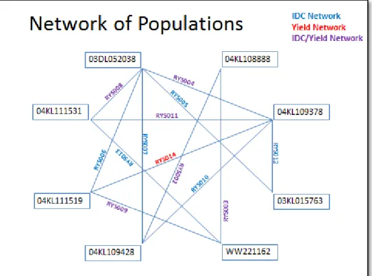 Figure 1. The network of connected mapping populations. Parent names were labeled inside  rectangle boxes, and the lines show the crosses and connected network of populations