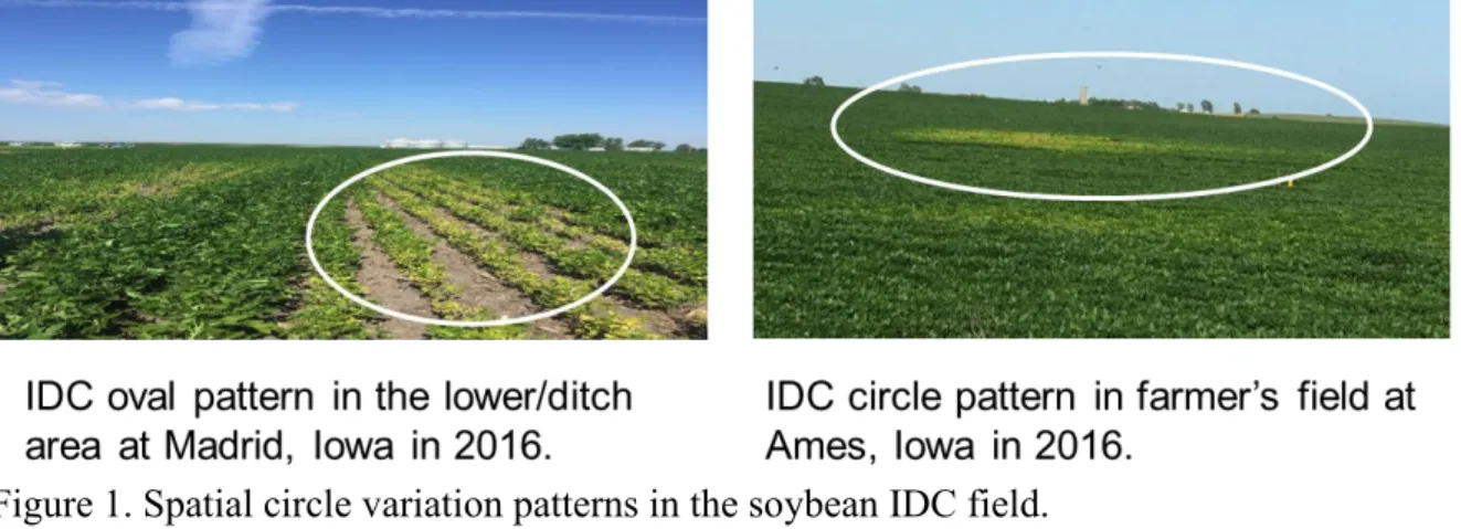 Figure 1. Spatial circle variation patterns in the soybean IDC field.   