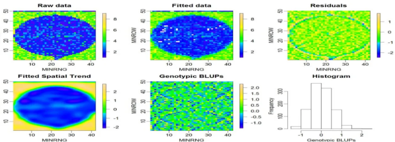 Figure 4. Heatmaps and histogram from data set 1 by P-spline via SpATS. The rectangle layout  is 42 rows (X-axis) by 50 ranges (Y-axis) with a total of 2,100 plots for each of the five heat  maps
