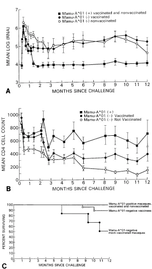 FIG. 5. Virus load, CD4�applied to the median viral load over later intervals. However, in these intervals no signiﬁcant difference in virus load was observed (Mamu-A*01-negative vaccinated (animals that were monitored for 1 year are included