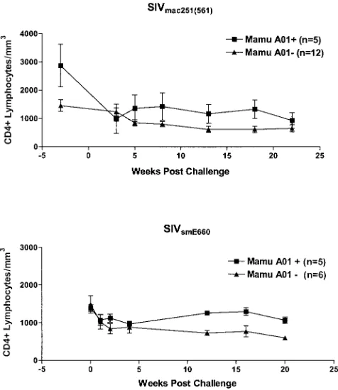 FIG. 6. Analysis of the mean CD4�A*01-negative macaques challenged intravenously with SIVpositive and Mamu-A*01-negative macaques after intravenous SIVchallenge