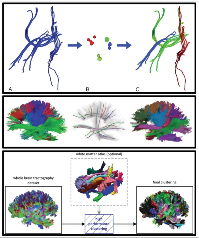Figure 1.7 Illustrative examples of clustering approaches. Top row: Spectral embedding based streamline clustering (Source: O’Donnell et al