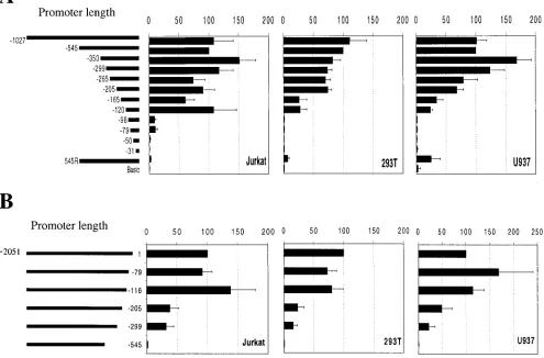 FIG. 2. Functional analysis of the cycT13were transfected with pGL3-derived luciferase reporter plasmids