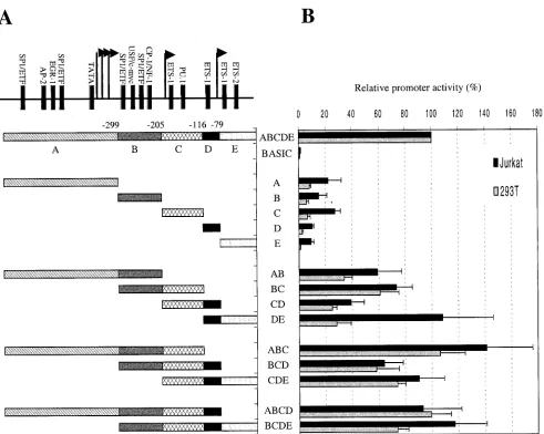 FIG. 3. Combinatorial analysis of minimally active cycT1fragments, found to retain at least 10% of the intact promoter activity are termed modules A (�modules