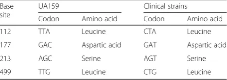 Table 1 Transversion of amino acids due to silent mutations,according to the vicR gene codons