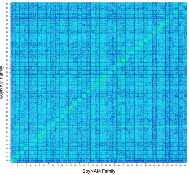 Figure 14. Heat map of the genomic relationship matrix of the 5555 individuals of the  SoyNAM population with delimitations indicating family