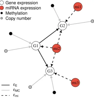Figure 2: A toy example of the integrated graph G miEMC . White vertices (labeled “G”) are gene expression nodes, which specify a signaling pathway topology