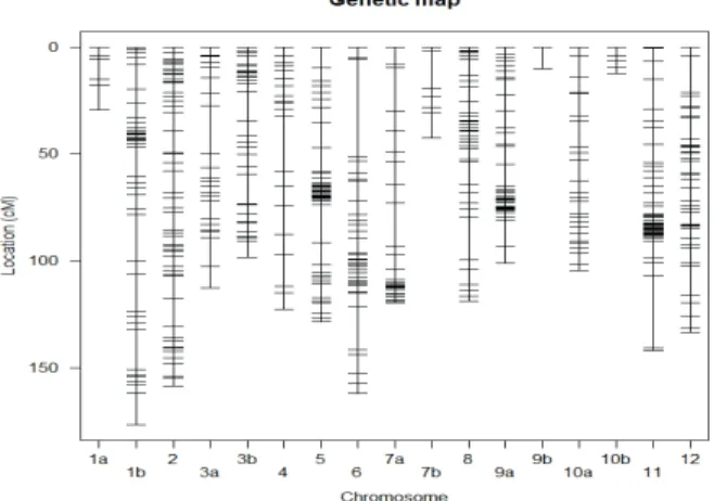 Figure  3.1 Initial Genetic linkage map used in the EU-SPICY experiments 