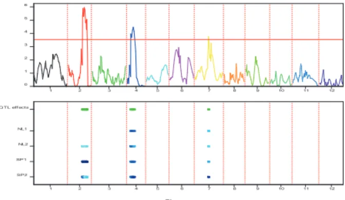 Figure 3.2 CIM Profile plot of the Multi-Environment analyses for yield (DWF)  