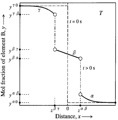 Fig. 3Concentration proﬁle of element B across the � phase along thediﬀusional direction in the semi-inﬁnite diﬀusion couple.26)