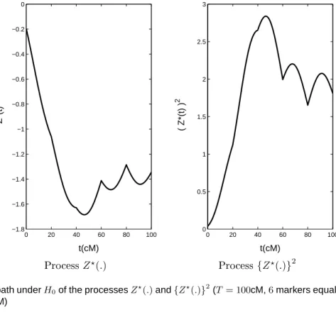 Fig. 1. A path under H 0 of the processes Z ⋆ (.) and {Z ⋆ (.)} 2 (T = 100cM, 6 markers equally spaced every 20cM)