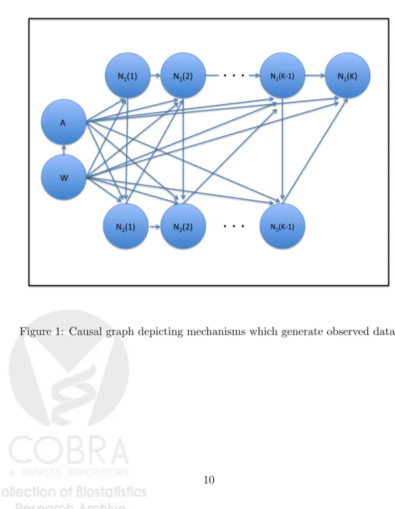 Figure 1: Causal graph depicting mechanisms which generate observed data.