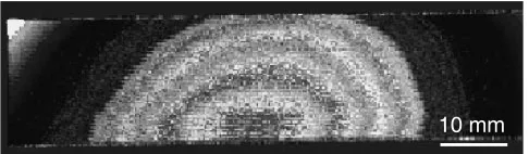 Fig. 1Typical acoustic image of copper plate.