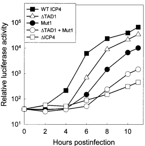 TABLE 4. Activation of reporter gene byGal4-ICP4 fusion proteinsa