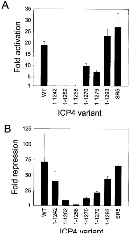 FIG. 3. Activity of wild-type ICP4 in transient-transfection assays.(A) Vero cells (60-mm-diameter dish) were cotransfected with pCMV-