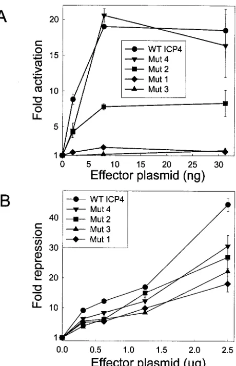 FIG. 7. Activities of �cells were transfected with pCMV-luciferase reporter plasmid (100 ng), and the indicated amounts of aneffector plasmid encoding the indicated ICP4 variant