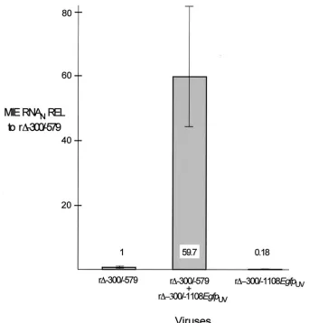 FIG. 8. Augmentation of r�cells were infected with rto or omitted from the infection. Relative quantitation of viral MIE and cellular 18S RNAs was performed on quadruplicate samples by multiplexreal-time RT-PCR, using thewas normalized to that of 18S RNA (