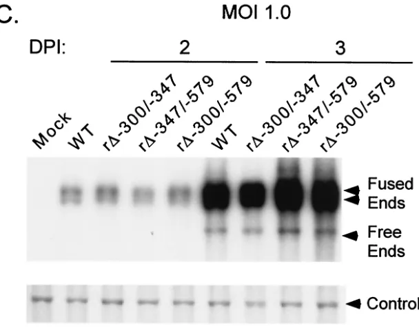 FIG. 2—Continued.