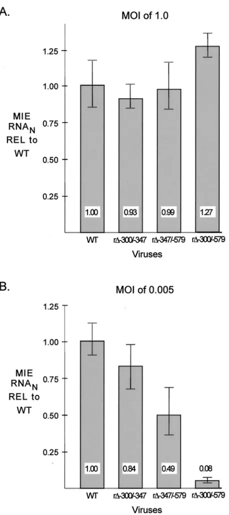 FIG. 3. Multiple distal enhancer parts are involved in augmentingMIE promoter-dependent transcription