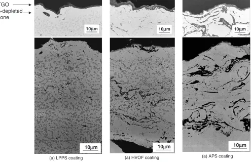 Table 2Phase composition of as sprayed coating and thickness of � phasedepletion zone as measured from the coating surface (upper row) and fromthe substrate (lower row) for each spraying process during oxidation.