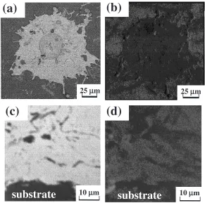 Fig. 3(a) O-K� and (b) Al-K� image in coating cross-section sprayed with as-atomized cast iron powder.