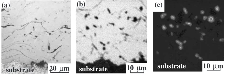 Fig. 7Cross-section microstructure of coating sprayed with pre-annealed cast iron powder, (a) optical micrograph, (b) BSE and (c) C-K�image.