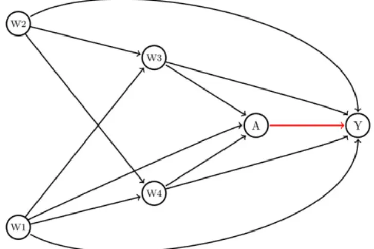 FIGURE 1 Direct acyclic graph. Legend: Conditional exchangeability of the treatment effect or exposure (A) on cancer mortality (Y) is obtained through conditioning on a set of available covariates (Y(1),Y(0) ⊥ A|W)