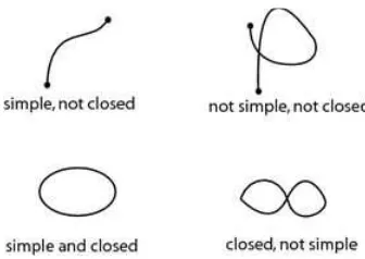 Figure 1.9. Examples of curves