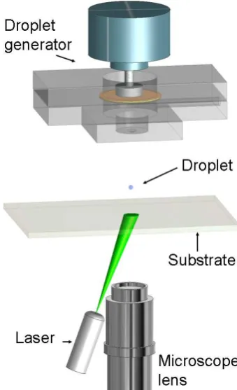 FIG. 1: (Colour online) Schematic view of the experimentalarrangement.