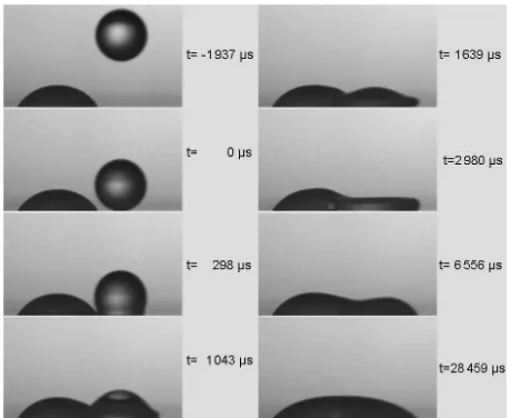 FIG. 3: (Colour online) Examples of images of drop impactand coalescence obtained by high-speed shadowgraphy.this series and the one in Fig.to the image showing the impacting droplet at the closestposition to the substrate.timing error of up to 150Inthese 