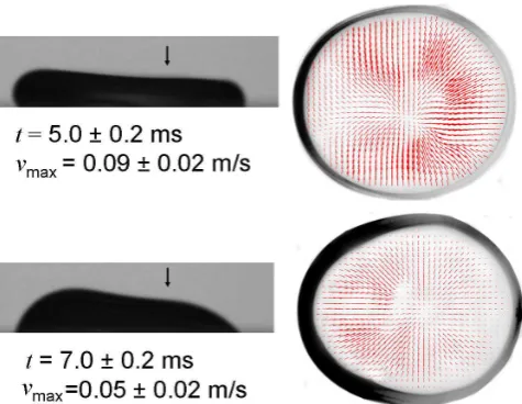 FIG. 9: (Colour online) Velocity ﬁelds for the coalescence oftwo droplets whose centers are separated by 3.80 ± 0.03 mm.On the left, a shadowgraph image shows a side-view of thecoalescence stage at the same time