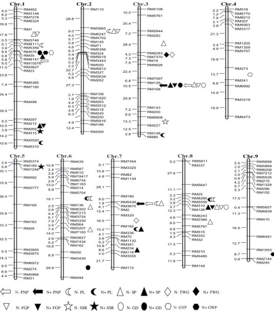 Fig. 1. Location of QTLs for rice yield component traits under low (N-) and normal (N+) N levels