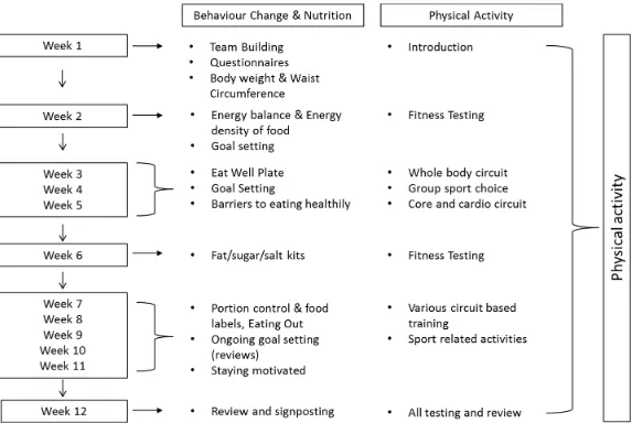 Figure 1. Schematic showing the content of the Motivate 12 week programme including behaviour change, nutrition and physical activity.