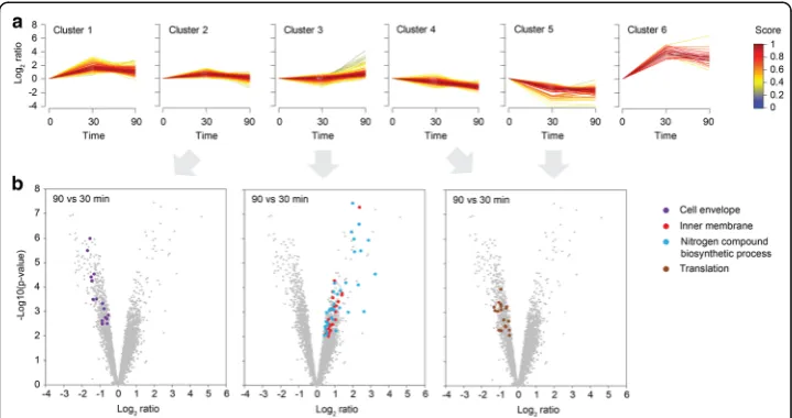 Fig. 5 Identification of differentially regulated gene groups after prolonged DNA damage.comparison