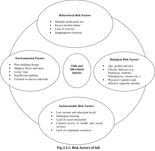 Fig.3.1.1: Risk factors of fall 