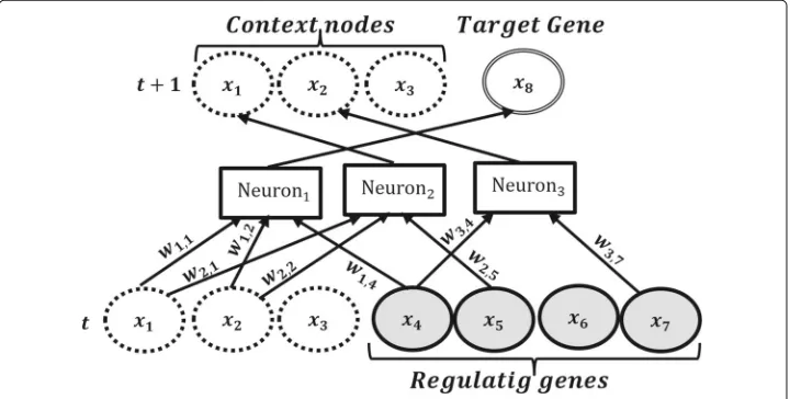 Fig. 2 The structure of a hierarchical RNN with 2 context variables, 5 genes and 3 neurons