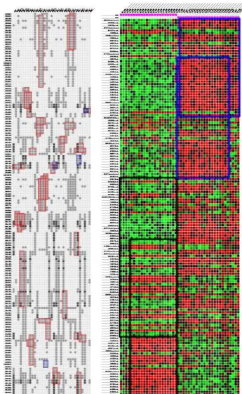Figure 4Bicluster layoutscolumns, a bicluster may appear at multiple locations in the layout