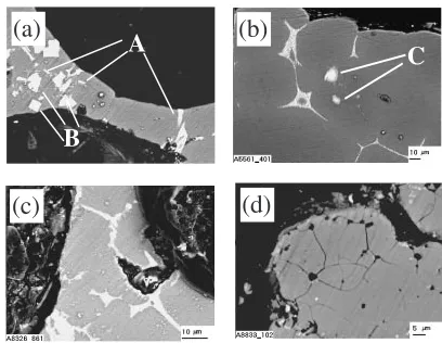 Fig. 2SEM micrographs of cell walls with �-Al dendrites (A) and networkof the eutectic domains Al+Al4Ca+Al3Ti (B) and Al+Al4Ca (C) for Alfoams processed with TiH2 (a) and CaCO3 (b).