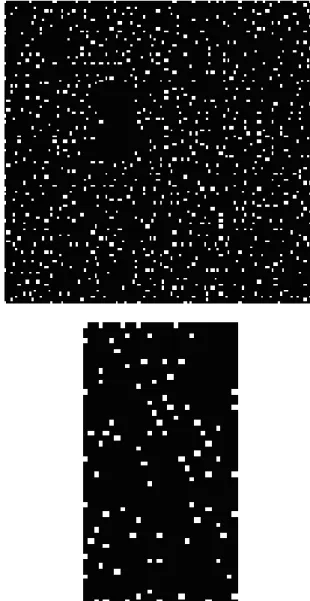 Figure 5. Seeds of L1. Study Area 1(Top) and Study Area 2  (Bottom) 
