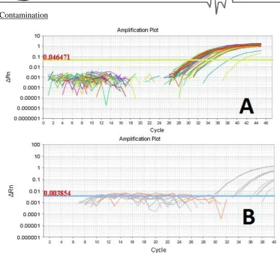 Figure 4: Real-time PCR results on negative controls using SYBR Green (A) and Taqman (B) fluorescent dyes