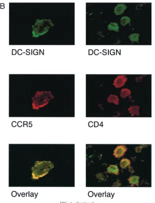 FIG. 6—Continued.