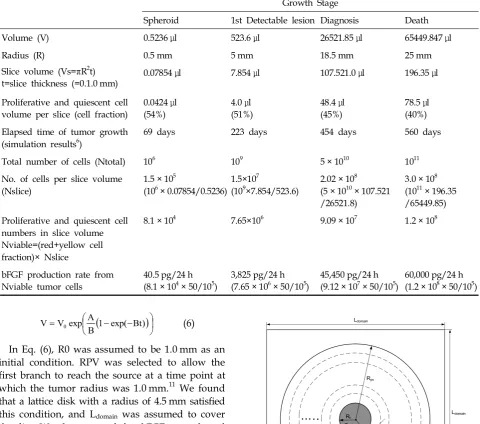 Table 2. Approximate Concentration of Basic Fibroblast Growth Factor (bFGF) Released during Each of the FourConsecutive Growth Stages Used to Simulate Growth of a Brain Tumor (based on Ref